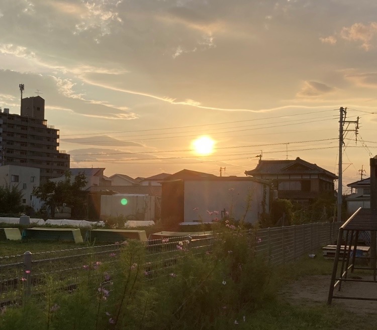 今日の夕陽