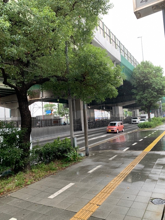 ウォーキング　雨ですね