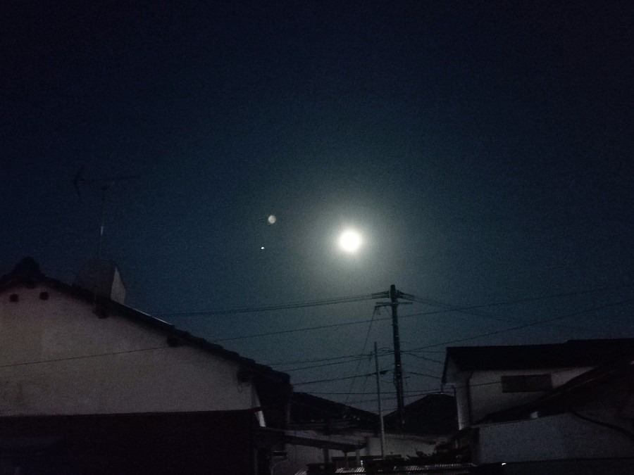 お月様🌕