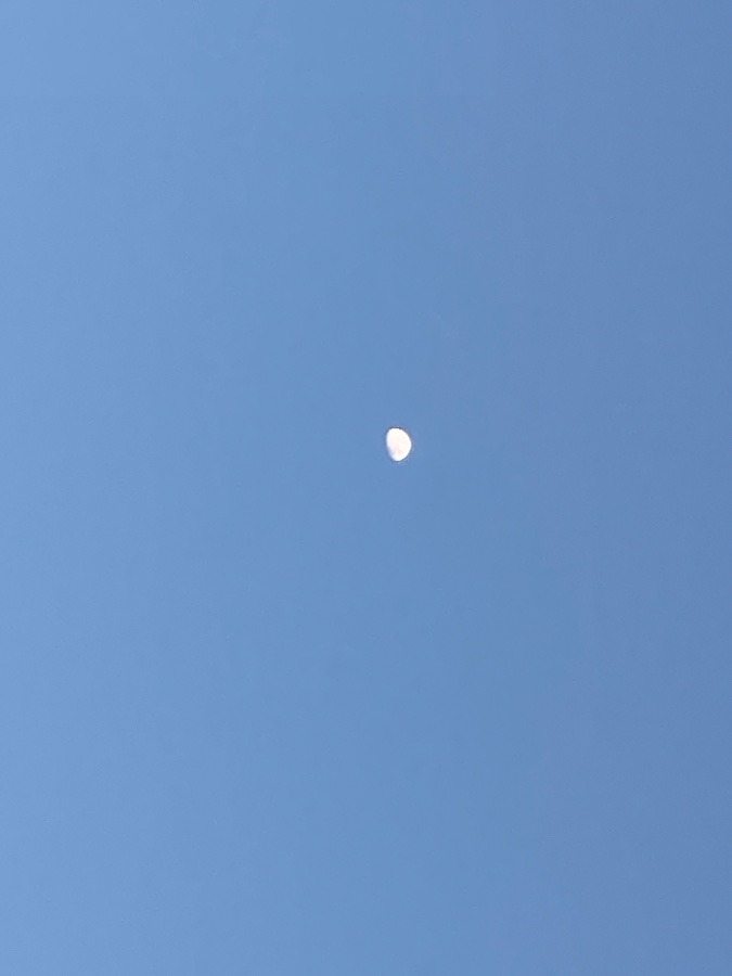 お月様