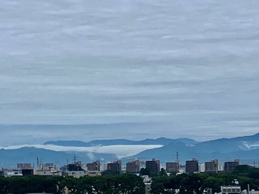 朝の風景