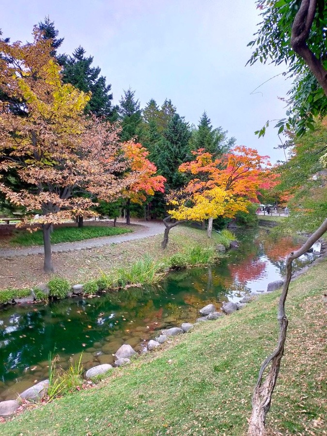 札幌中島公園③