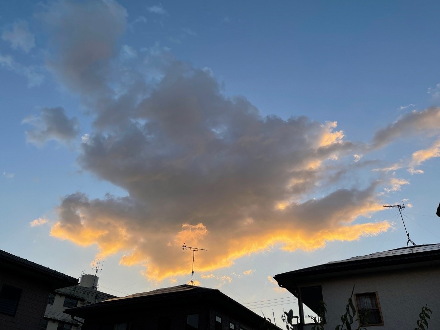 西の空❣️