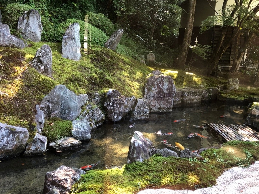 九山八海の庭（くせんはっかい）