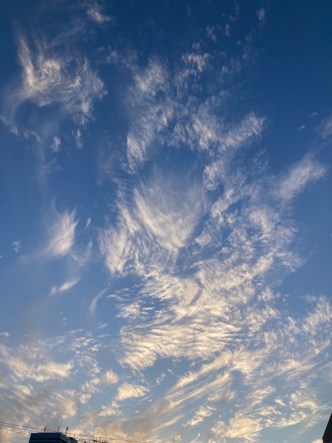 夕方の空