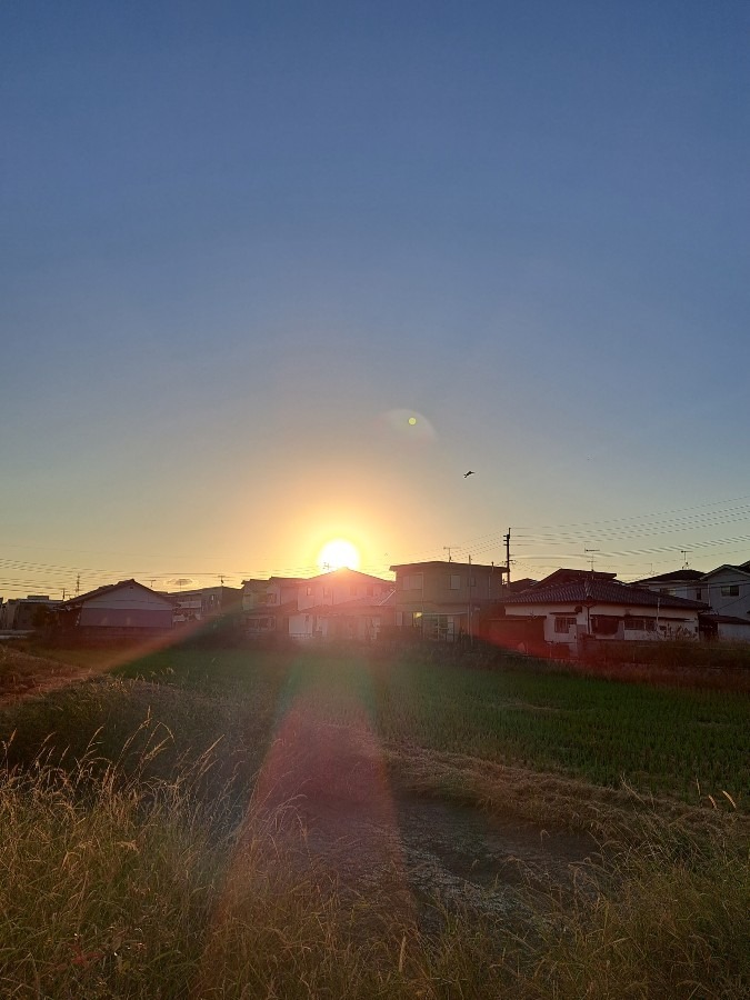 10/19　今朝の空