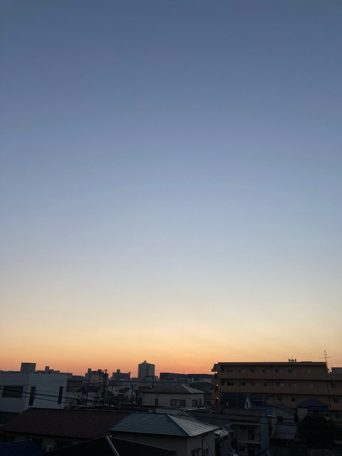 朝だー！