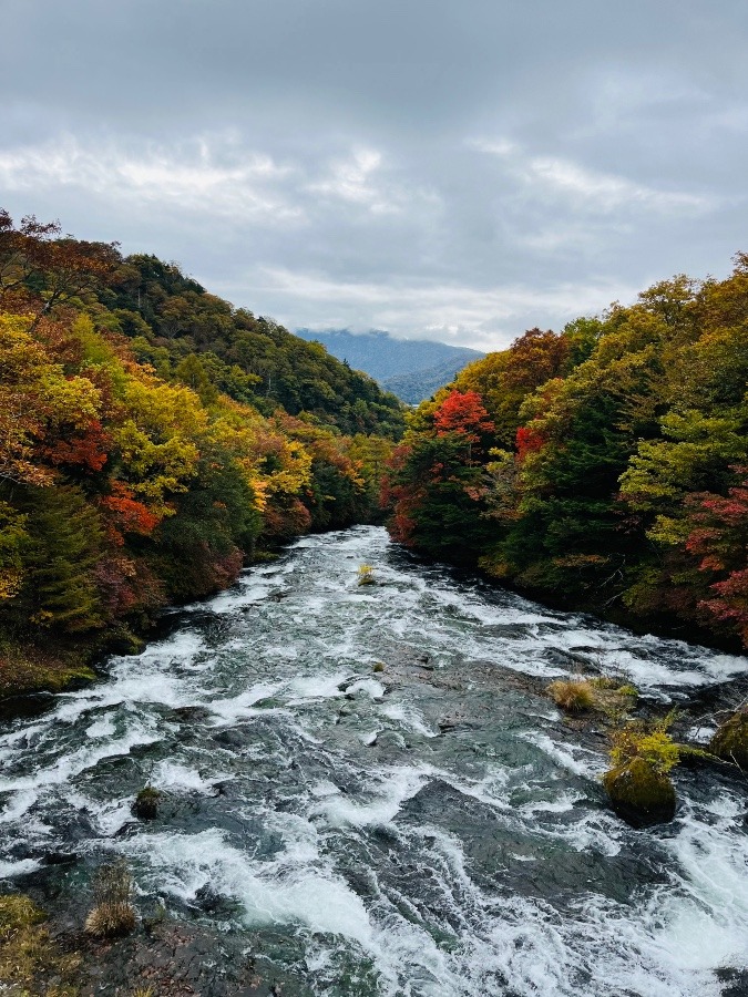 竜頭の滝🍁