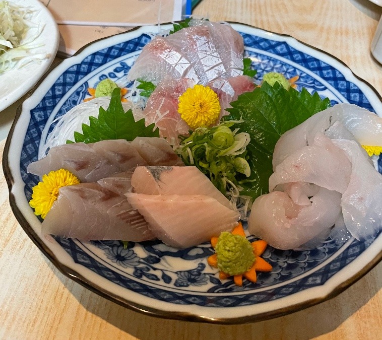日本海の魚