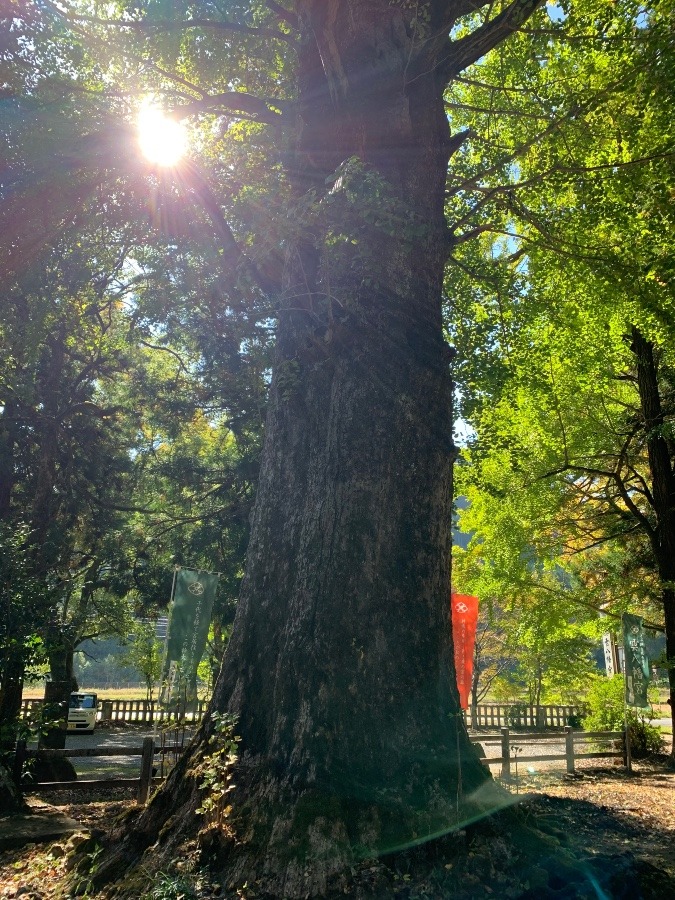 雲八幡宮