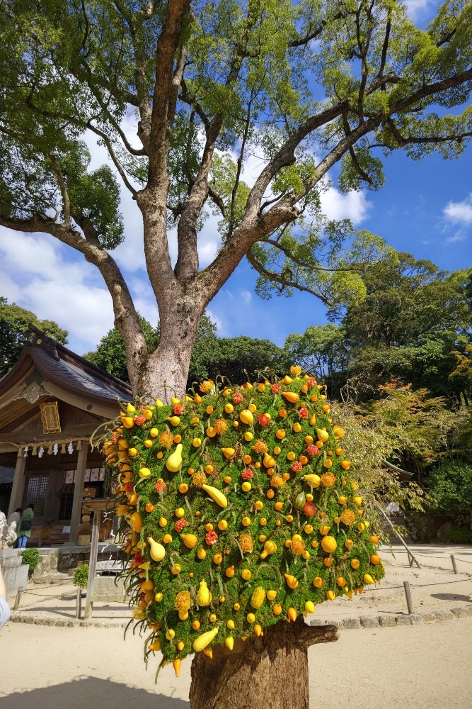 竈門神社⑤