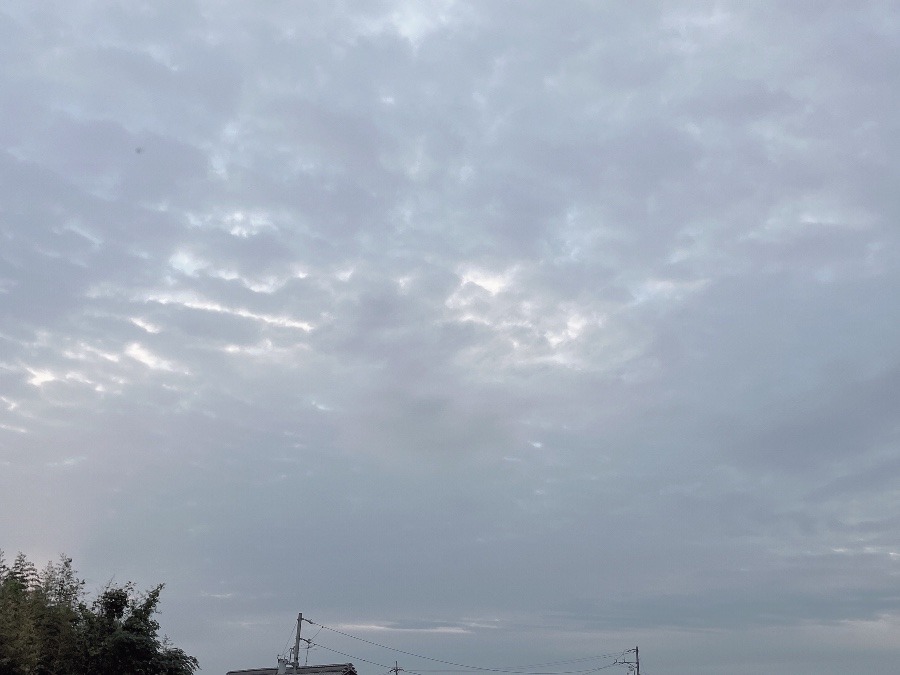 【朝の空】