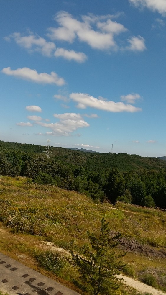 ぽっかり浮かんだ雲、穏やかです