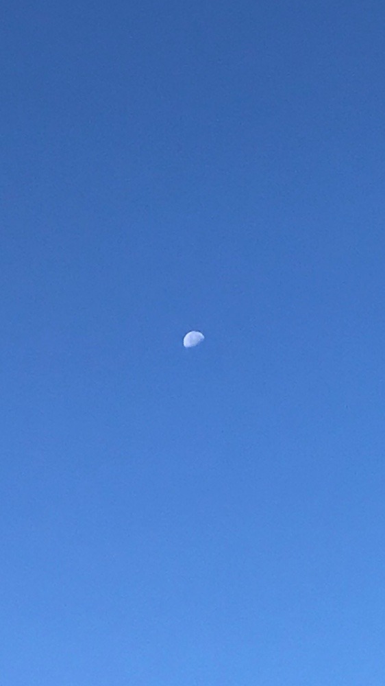 昼の月〜🌝