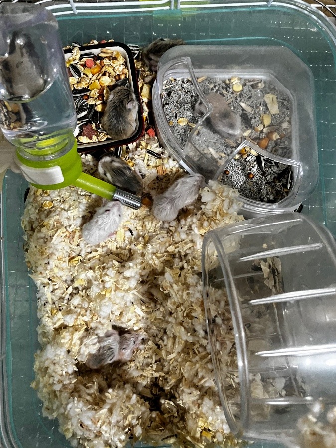 掃除をしたいけど・・・(´・ω・`)