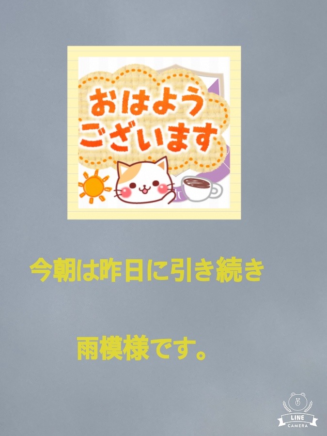 今朝の天気❣️