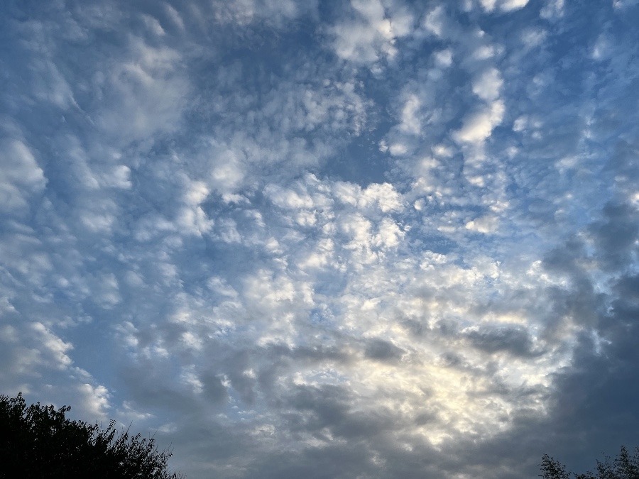 【朝の空】