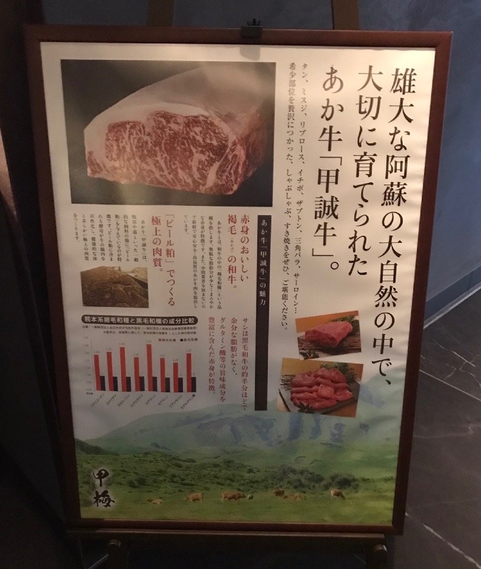 ✨赤牛🐮✨