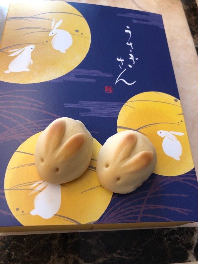 また　また　出会えました🐰