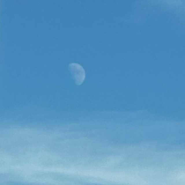 十日月