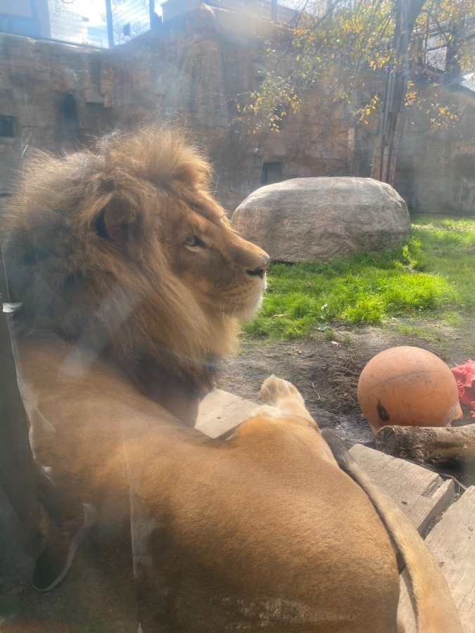 旭山動物園①