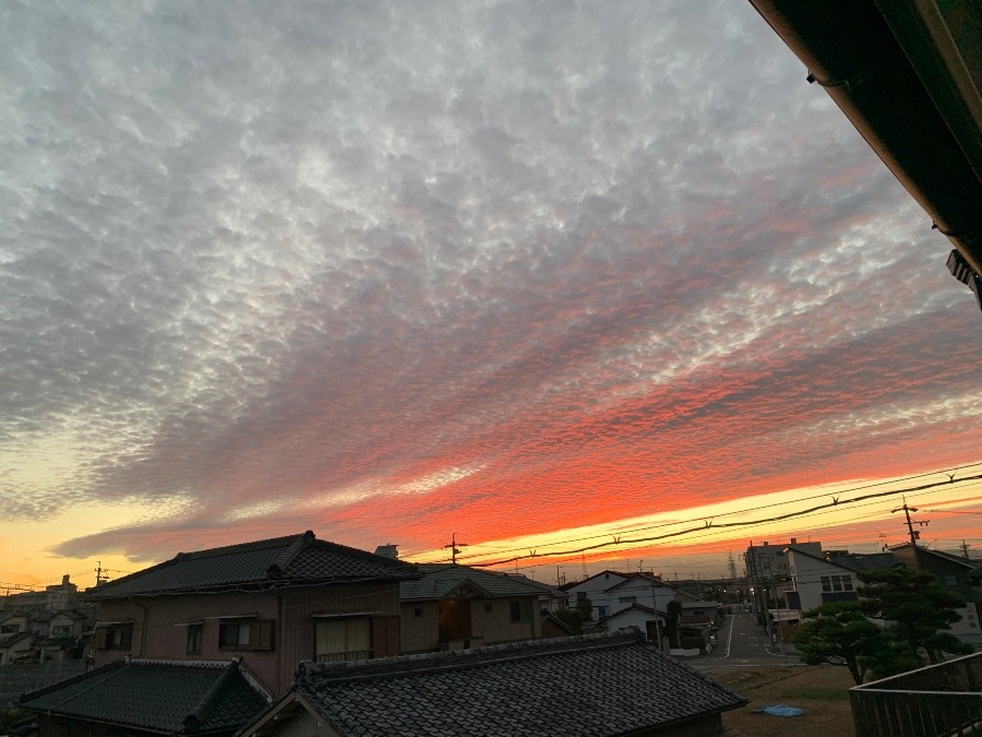 夕日