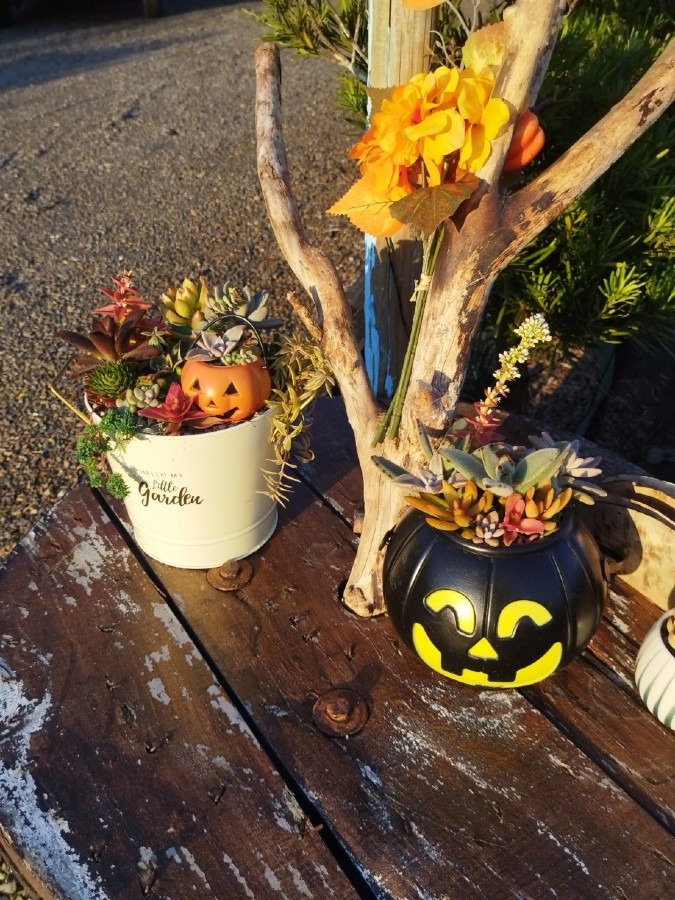 ちょっとだけハロウィン🎃気分😊　②