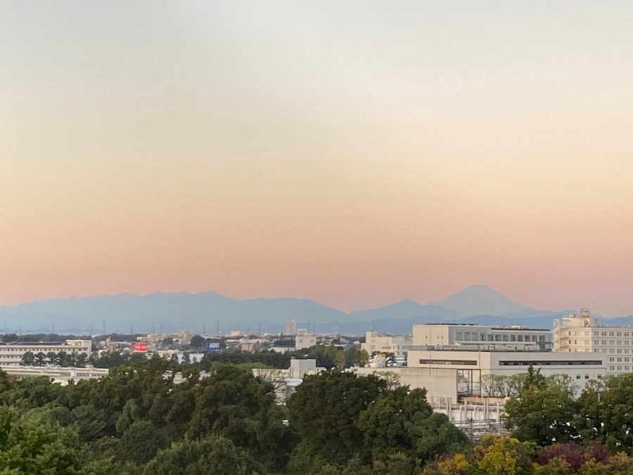 今朝の富士山