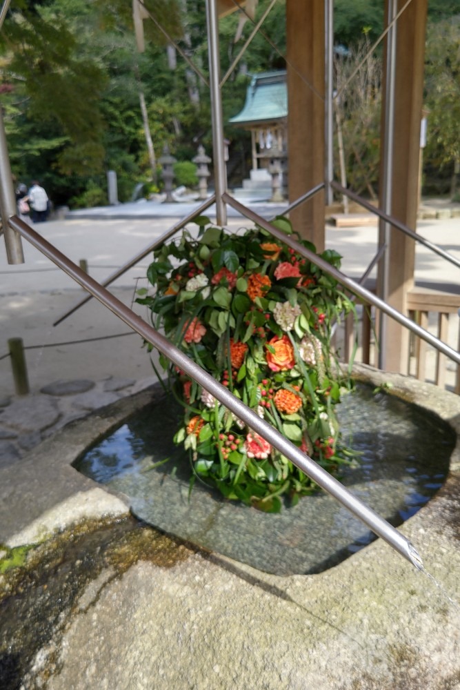 竈門神社③