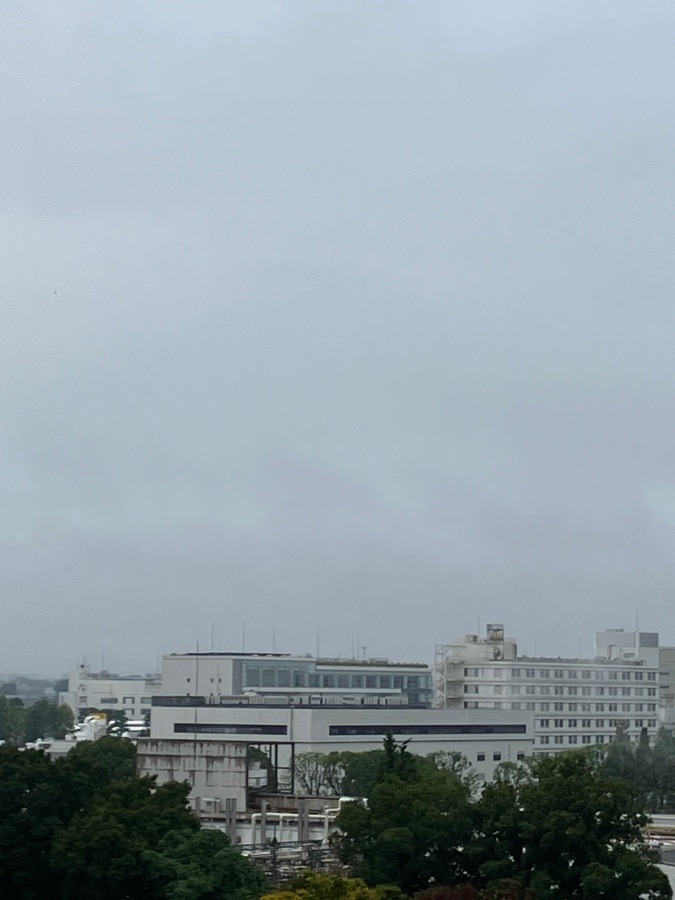 今朝の富士山