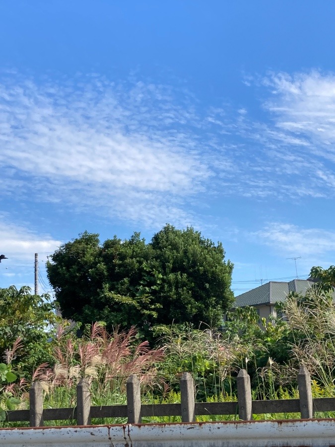 昼間の風景②