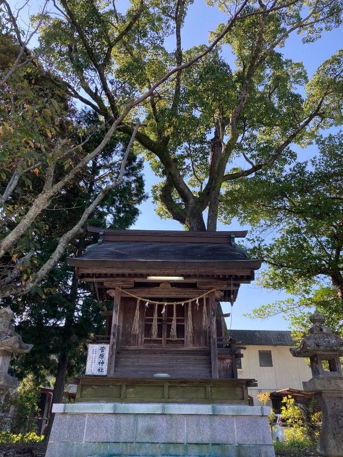 朔日参り⛩