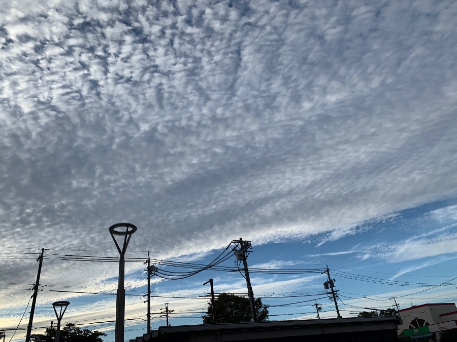 秋の空