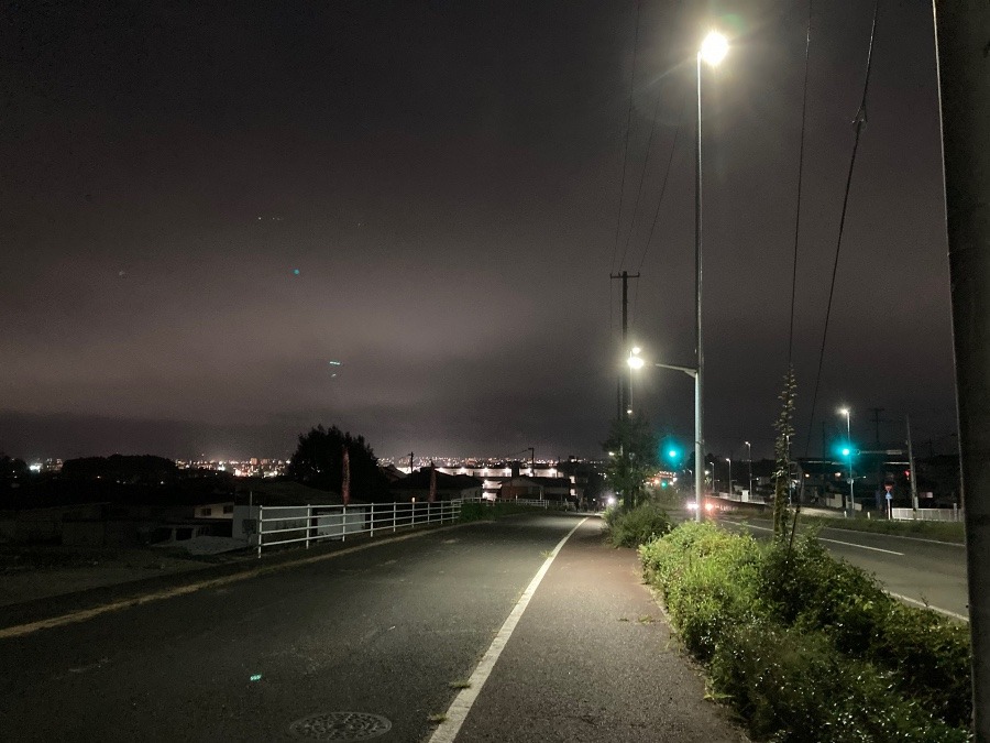 夜の散歩道❣️