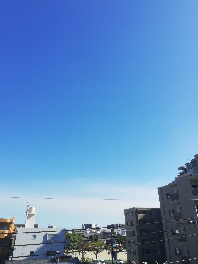 今日の空!