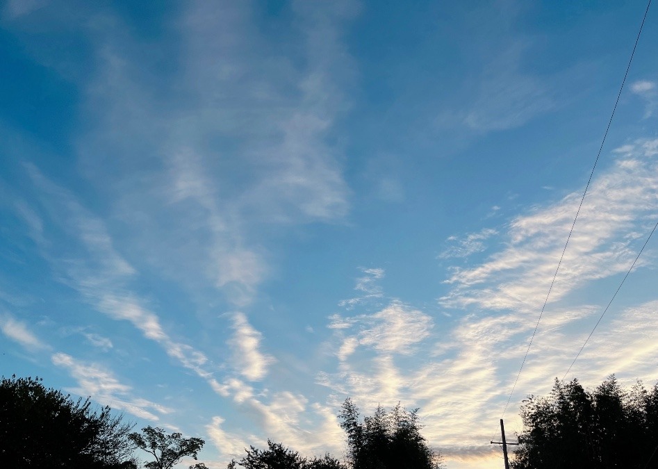 【朝の空】