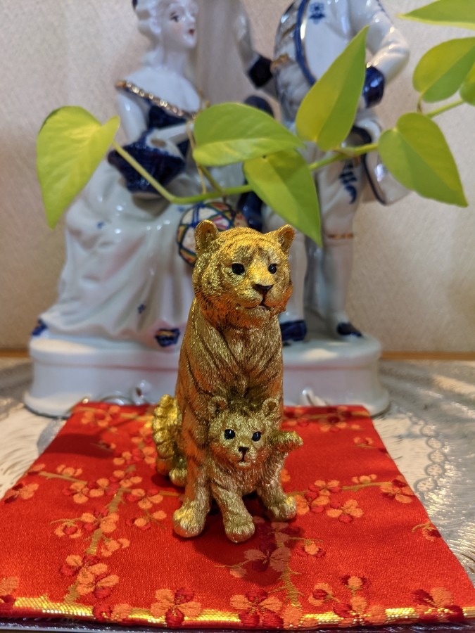 虎年🐅