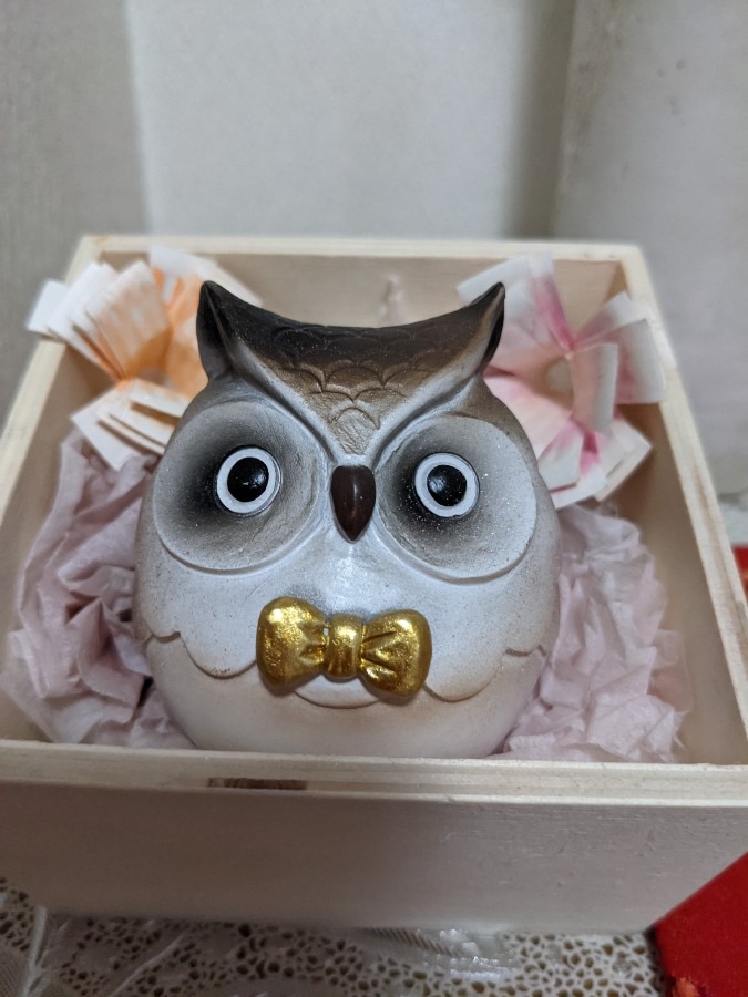 ふくろう🦉