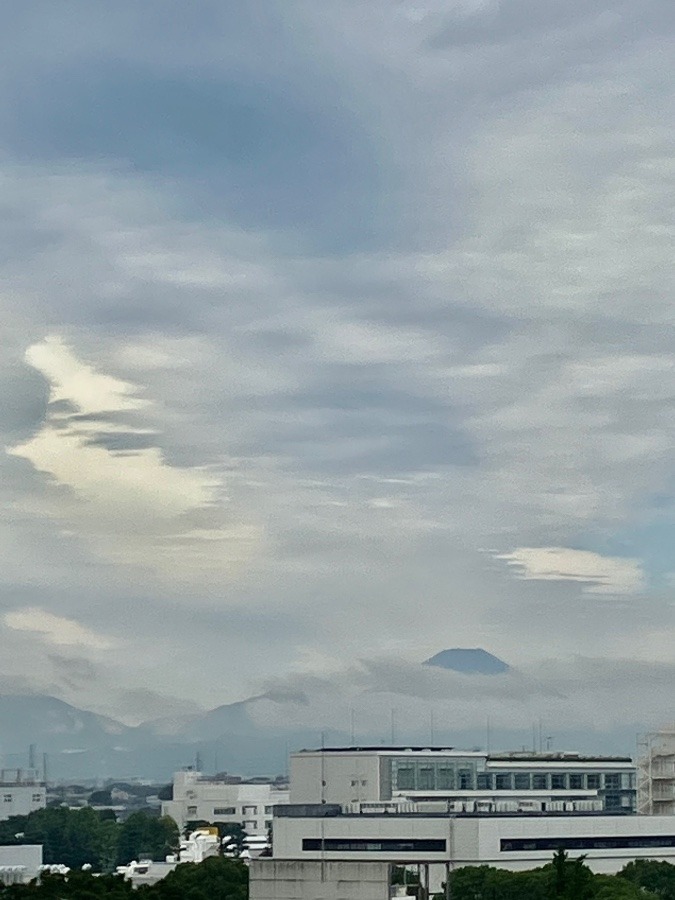 今朝の富士山