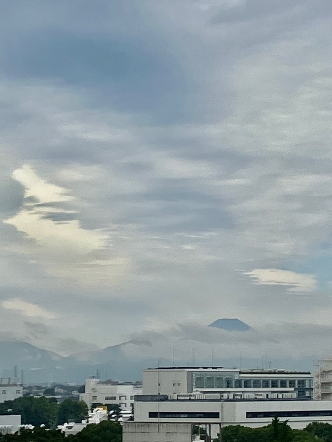 今朝の富士山