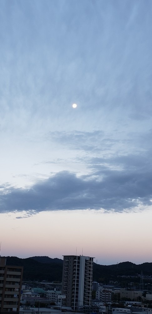 今朝のお月さま🌕