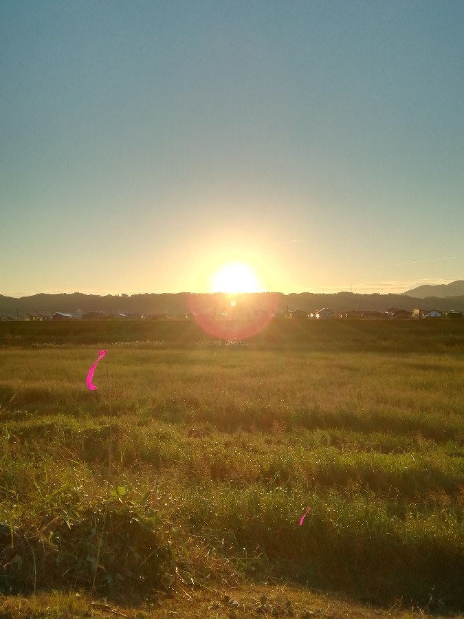 今朝の空