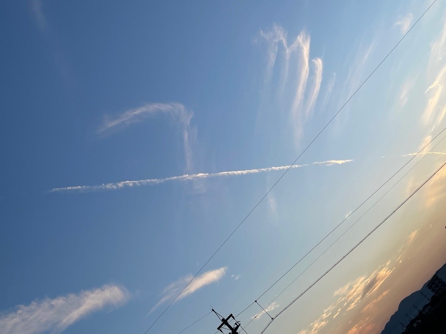 又ひこうき雲‼️