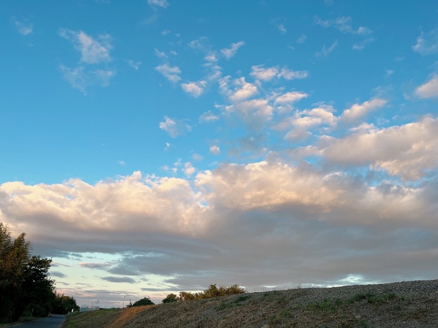 【朝の空】