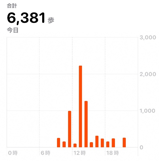 6381歩　ウォーキング10/28