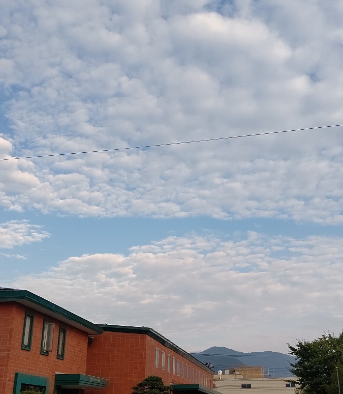 帰りの鱗雲⛅🌥️☁️