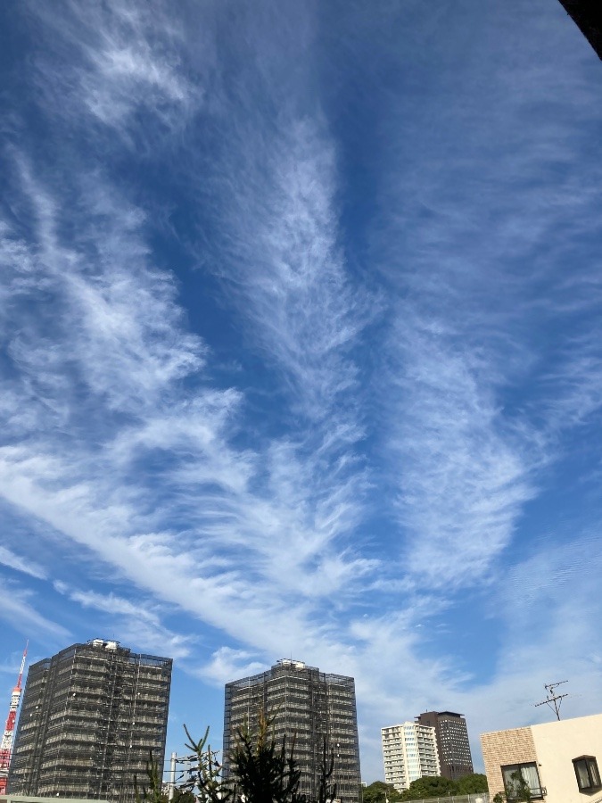 伸びる雲