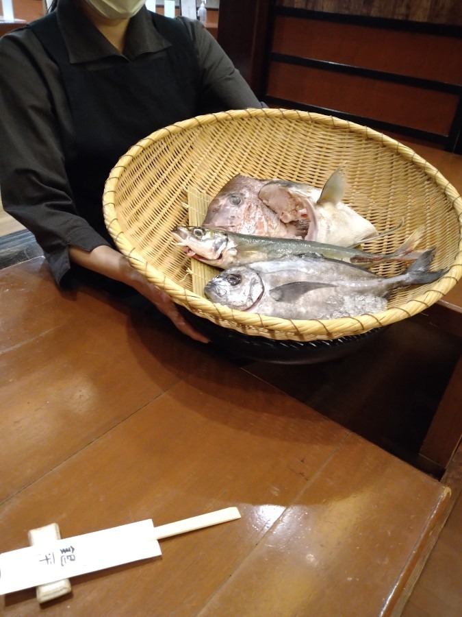 お選びください！🐟🐡🧺