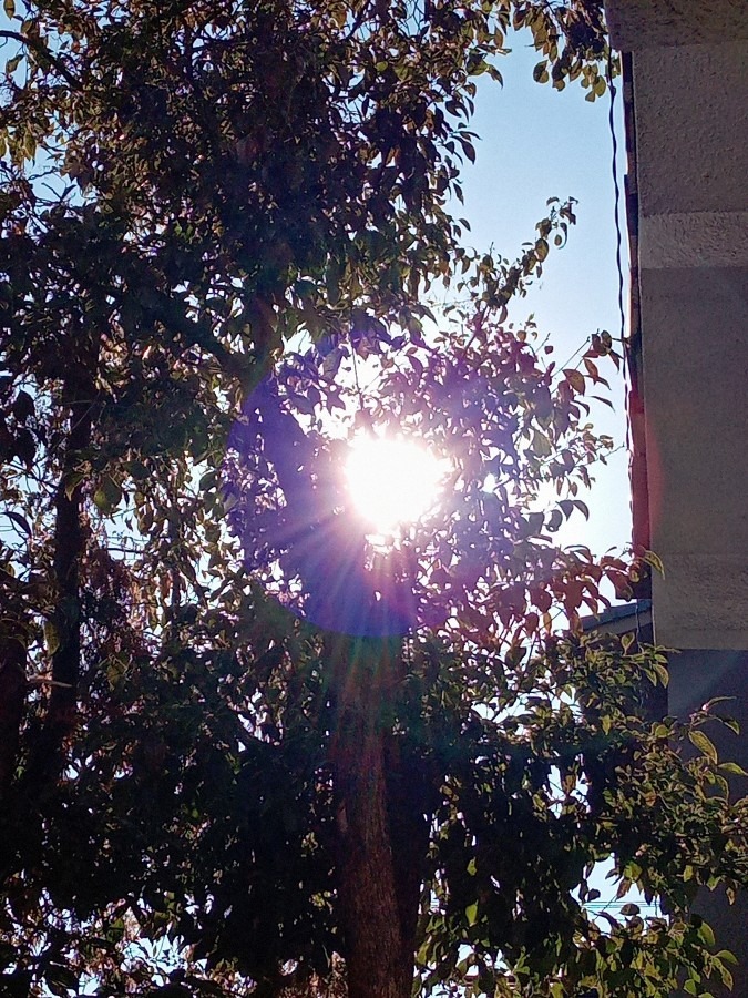 現在の空☀️　８:30
