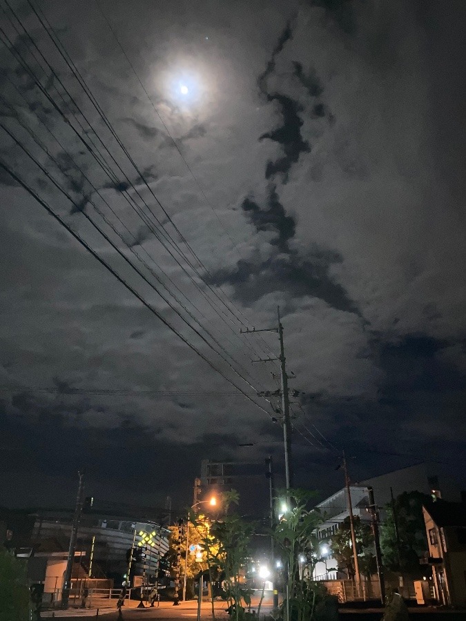 競技場十三夜🌝